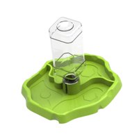 Magideal - Contenedores De Alimentación Para Reptiles Y Accesorios Para Acuarios, Suministros De Cuencos De Alimentación Para Reptiles, Suministros De Comida Y A Verde Hierba