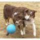 thumbnail image 2 of Jolly Pets RompNRoll Rope Ball Dog Toy, 8 in Large, Blue, 2 of 3