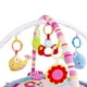 thumbnail image 3 of Gimnasio Corral Pelotas Zoo Pink, 3 of 3