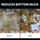 thumbnail image 4 of Tratamiento para Estanques CrystalClear MuckOff 24 Tabletas, 4 of 9