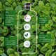 thumbnail image 5 of Shampoo Herbal Essences Aroma Té Verde & Menta, 5 of 6