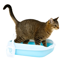 Arenero Genérico Abierto Para Gatos Mediano 47X30 Cm