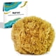 thumbnail image 1 of Esponja exfoliante natural Naroa para ducha, lufa marina grande, 1 of 7