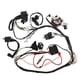 thumbnail image 2 of Kit completo de cableado CDI, bobinas de encendido, juego de mazos de cables, reconstrucción de bujías para ATV Quad de 4 tiempos (150 cc-300 cc), 2 of 7