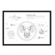 thumbnail image 1 of Cuadro Aries con Marco Negro, 1 of 1
