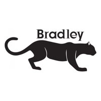 Rienda Libre Graphics - Decomural Personalised Name Panther Ws-44283