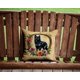 thumbnail image 2 of Almohada Decorativa Schipperke 14x14, 2 of 7