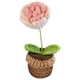 thumbnail image 1 of Adorno Flores Ganchillo Maceta Degradado, 1 of 3