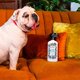 thumbnail image 3 of Spray Eliminador de Olores para Mascotas y Telas Poo-Pourri Pawsitively Fresh 473 mL (Paquete de 2), 3 of 5