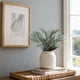 thumbnail image 4 of Peperomia Artificial, 4 of 4