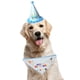 thumbnail image 5 of Bufanda de feliz cumpleaños para mascota, gato, perro y lindo sombrero de fiesta, sombrero de cumpleaños para niña y niño, conjunto de disfraces de fiesta de cumpleaños para mascota, 5 of 5