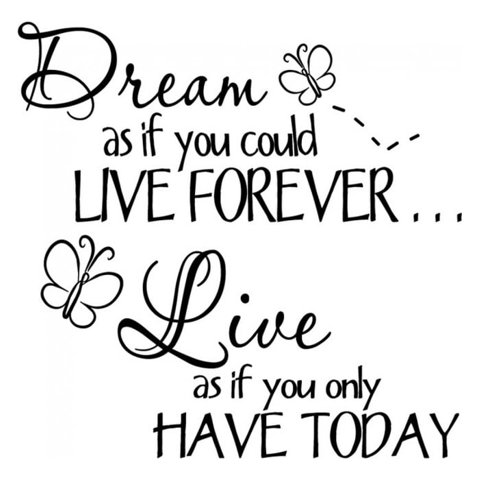 Rienda Libre Graphics - Decomural Live For Today Inspirational Ws-17330
