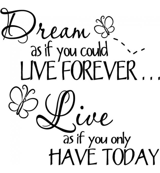 Rienda Libre Graphics - Decomural Live For Today Inspirational Ws-17330