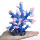 thumbnail image 3 of Coral para Acuario Besimple 14,5 × 13 × 16 cm – Decoración de Poliresina, 3 of 7