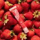 thumbnail image 3 of Bálsamo labial con color Lanolips Fruity Jellybalm Strawberry 10 g, 3 of 9