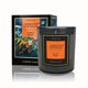 thumbnail image 1 of Vela aromática Scented Candle Premium Black Musk, 1 of 3