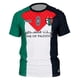 thumbnail image 1 of Camiseta Palestino Capelli Conmemorativa 2026 T/L, 1 of 2