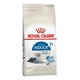 thumbnail image 1 of Alimento Feline Indoor 7+ 1.5kg, 1 of 2