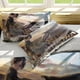 thumbnail image 4 of Attack- on G-iant Er-en Levi An-ime Soft 3D Printe-d Duvet- Cover B-edding Set with -Comfort-er Cover, 4 of 5