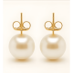 thumbnail image 1 of Aros Perla 12mm Mujer Enchape Oro 18k Clásicos Elegantes, 1 of 3