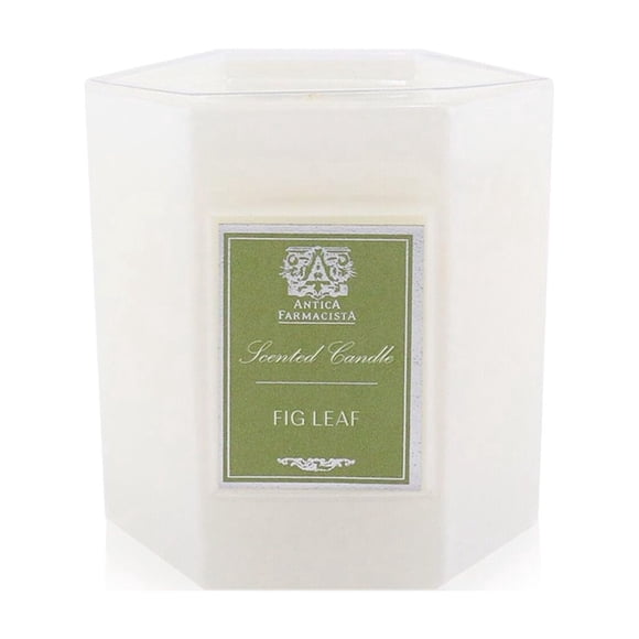 Vela aromática Antica Farmacista Fig Leaf 255 ml