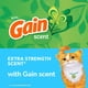 thumbnail image 5 of Arena para gatos Fresh Step Clumping con aroma Febreze Gain, 6,35 kg, 5 of 9