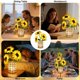 thumbnail image 5 of Lámpara HESUSLA Girasol LED con regulación táctil y recarga USB, 5 of 8