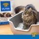 thumbnail image 5 of Arena para gatos Dr. Elsey's Premium sin perfume, 18,14 kg, 5 of 8