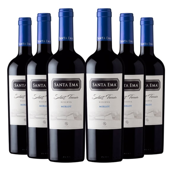 6 Vinos Select Terroir Reserva Merlot, 750 ml, 13.5%