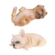thumbnail image 4 of Figuras De Animales De Simulación, 2 Uds., Juguetes, Estatuilla, Decoración Del Hogar, Francés, 4 of 6