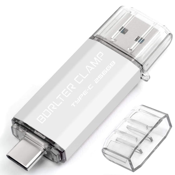 Memoria USB BORLTER CLAMP 256 GB USB 3.0 Tipo C Plateado