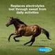 thumbnail image 2 of Suplemento en polvo de electrolitos para caballos Farnam Apple Elite, 2,27 kg, 2 of 9