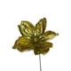 thumbnail image 2 of Magnolia Dorada 23cm, 2 of 3