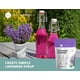 thumbnail image 5 of Flores secas de lavanda Kate Naturals para té, sirope y jabón, 100 ml, 5 of 7