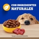 thumbnail image 4 of Alimento Húmedo Perro Adulto Sabor Carne Pouch, 100 g, 4 of 9