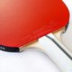 thumbnail image 4 of Raqueta de tenis de mesa Expert 3.0 Palio aprobada por la ITTF con estuche, 4 of 6