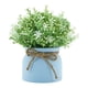 thumbnail image 5 of Pequeñas Plantas Artificiales En Maceta Para Bodas, Oficina, Orquídea Falsa, Flor De Frijol En Maceta Azul., 5 of 5