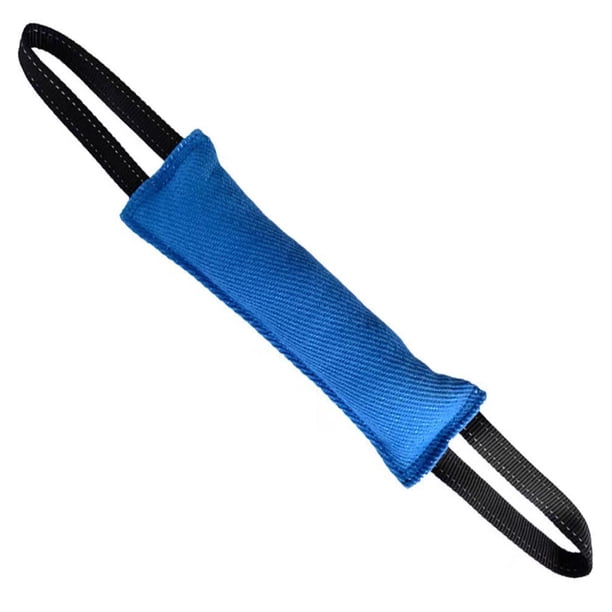 Juguete para morder para perros, cojín para morder de entrenamiento, accesorios para mascotas resistentes a las mordeduras, juguete para masticar con Azul