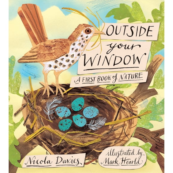 Candlewick Press – Fuera de tu Ventana: Un Primer Libro de Naturaleza