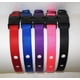 thumbnail image 1 of Correa de repuesto Grain Valley para collares PetSafe, color azul, 1 of 2