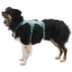 thumbnail image 4 of Ruffwear Web Master – Arnés para perro talla pequeña, naranja brillante, 4 of 9