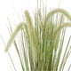 thumbnail image 3 of Grass Con Cuerda De Lino 70 Cm, 3 of 3