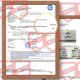 thumbnail image 5 of Gafas de seguridad Hoqiwild ANSI Z87.1 transparentes, paquete de 12 para hombres y mujeres, 5 of 8