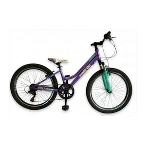 Powerbike - Bicicleta Mtb Aro 24 Morada Bernice