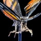 thumbnail image 4 of Mothra(2019) Figura de acción de PVC de 18 cm articulada con accesorios y caja coleccionable, 4 of 9