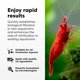 thumbnail image 3 of Brightwell MicroBacter Start XLF para Acuario 250 ml, 3 of 7