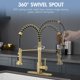 thumbnail image 3 of Grifo de cocina AIMADI Gold con pulverizador desplegable cepillado, 3 of 7