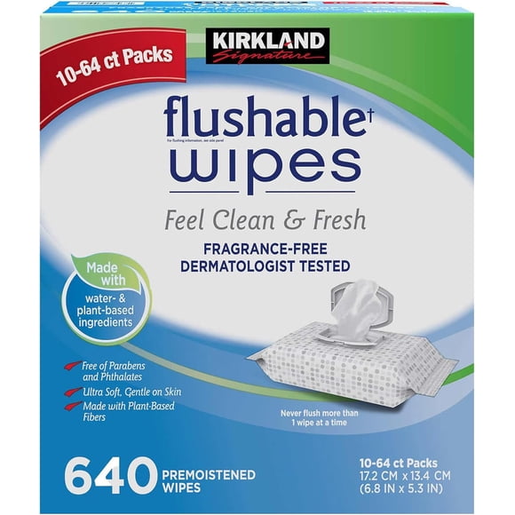 Toallitas húmedas desechables KIRKLAND 632 unidades