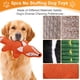 thumbnail image 4 of Dog Toys Eneston, paquete de 5 unidades, sin relleno, para perros grandes, 4 of 7