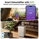 thumbnail image 3 of Deshumidificador DuraComfort de 50 pintas con WiFi y bomba ENERGY STAR, 3 of 6